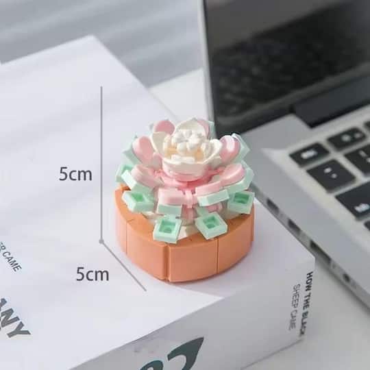 Wizardi Special Leaf Jade Butterfly Building Brick Mini Potted Plants Set